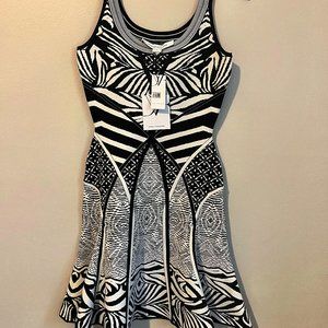 Diane Von Furstenberg Fanny Zebra Sleeveless Fit-and-Flare Dress